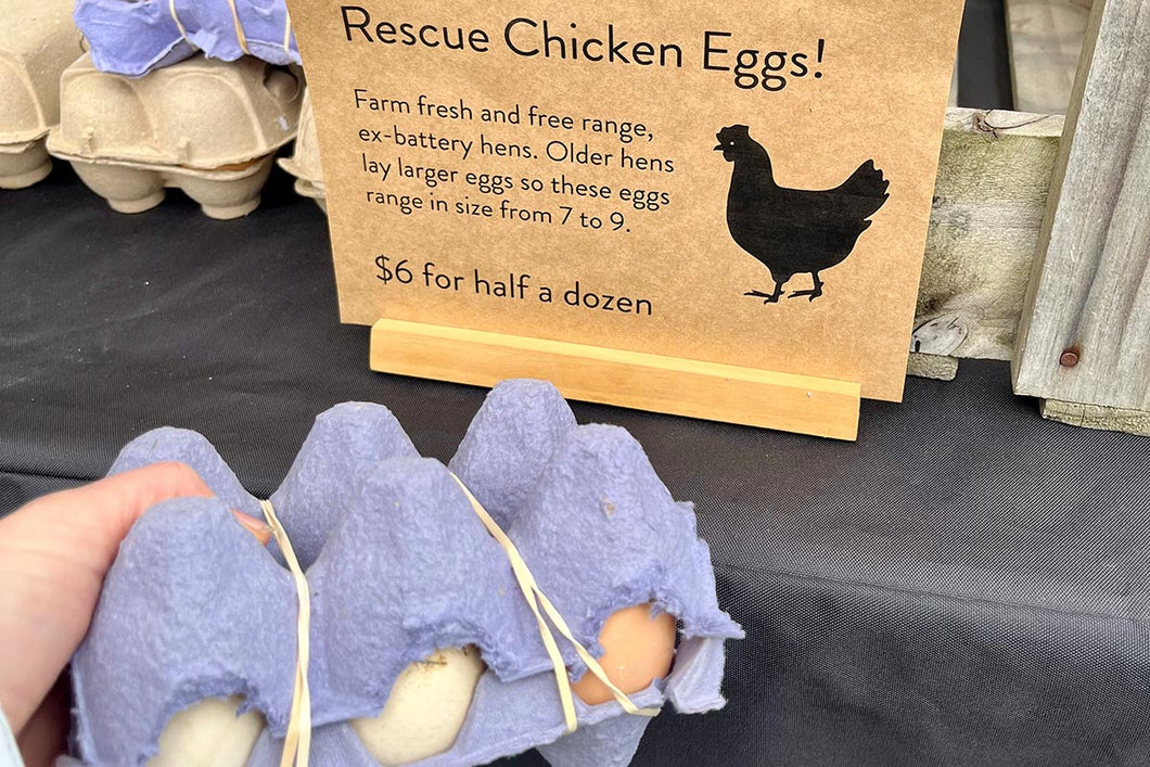 Rescue Chicken Eggs! Half a dozen